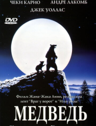 Медведь