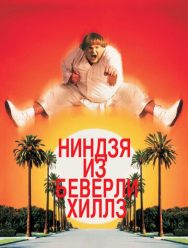 Ниндзя из Беверли-Хиллз