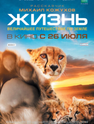 Жизнь